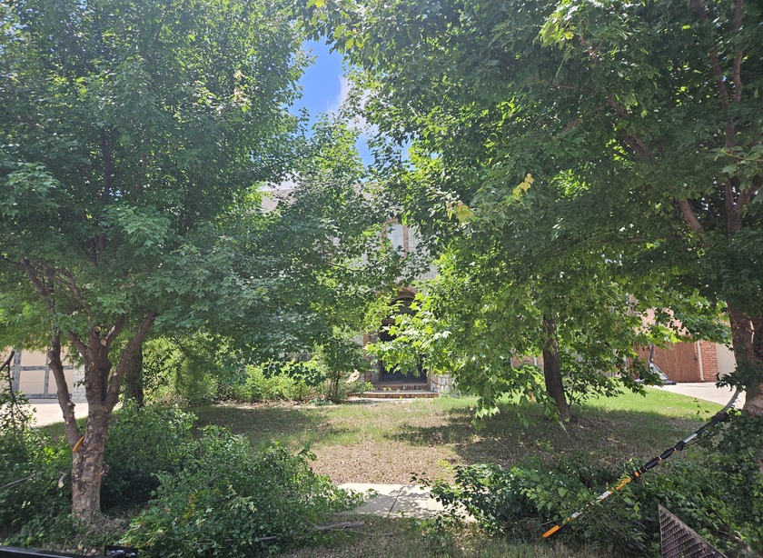 The Top Fully Insured Professional Tree Service, Tree Removal, Stump Grinding, Trimming, Pruning, Tree Cutting & Lawn Care in Moore, Norman & Oklahoma City Grass & Trees, LLC Fully Insured Tree Service in Moore, Norman & South OKC